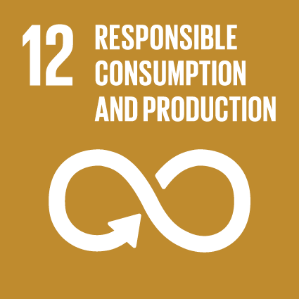 Sustainable development goal 12: Responsible consumption and production